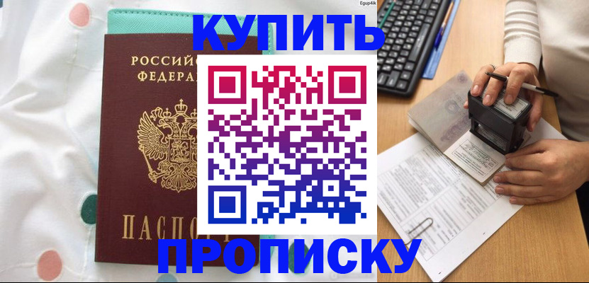 прописка в квартире в Гатчине